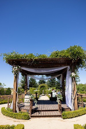 Wedding-208
