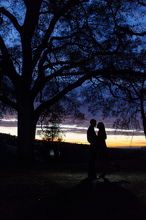 Engagement-28