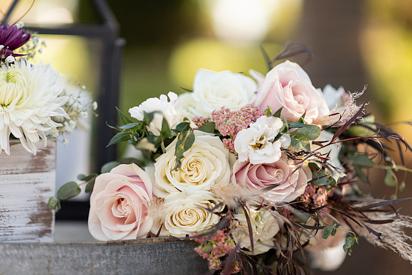 Wedding-492