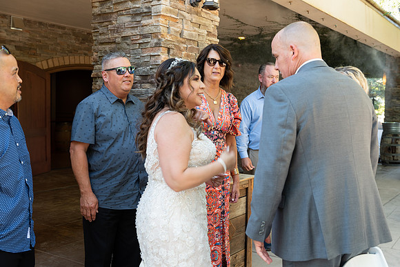 Wedding-456