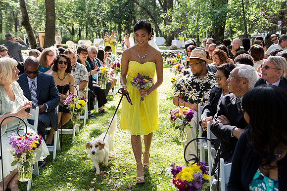 Wedding-155