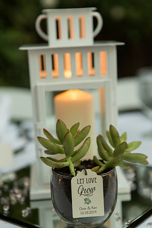Wedding-221