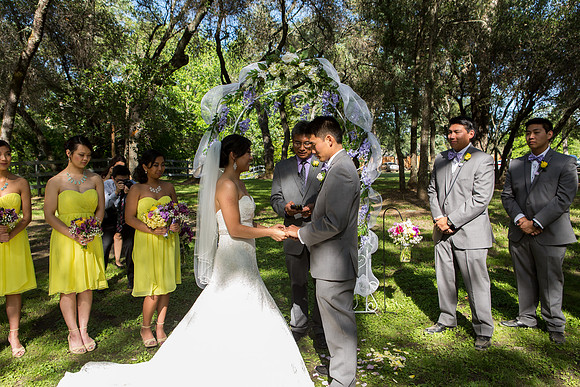 Wedding-220