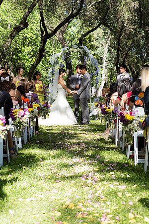 Wedding-197