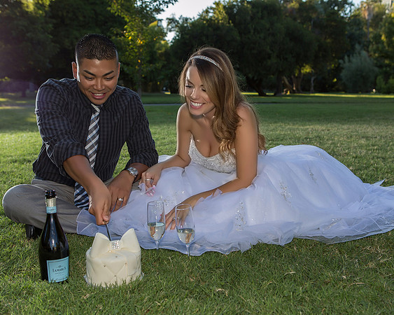 Sacramento Engagement Photography