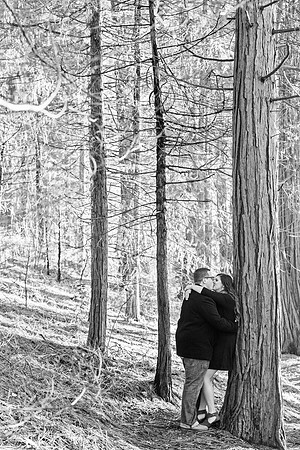Engagement-37-BW