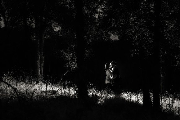 Sacramento Engagement Photos