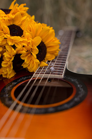 Engagement-56