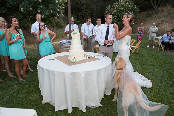Wedding-383