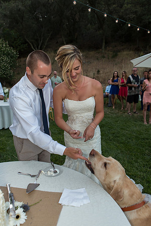 Wedding-382