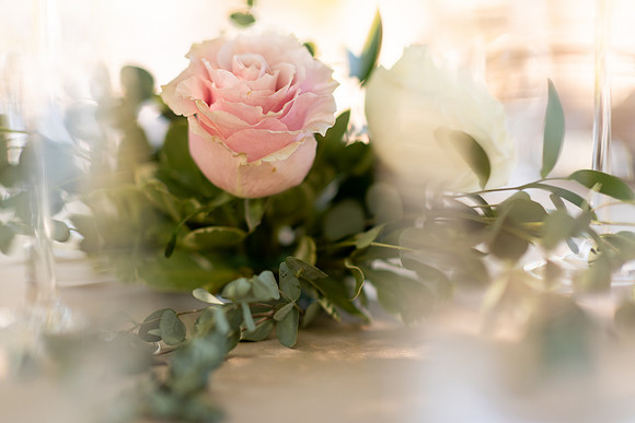 Wedding-188