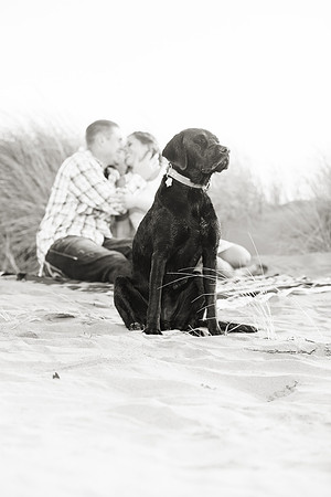 Engagement-151