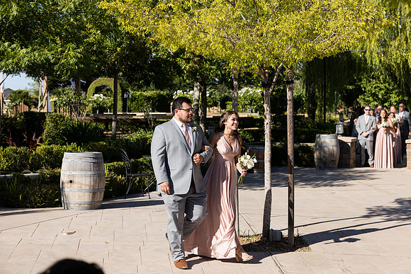Wedding-425