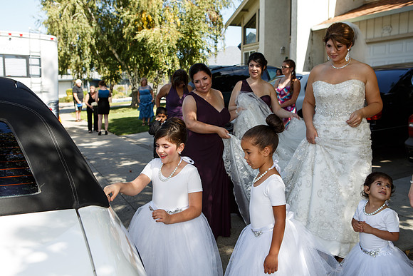 Wedding-101
