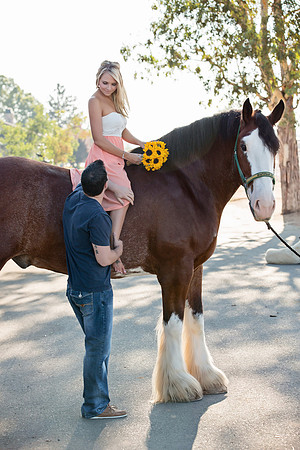 Engagement-39