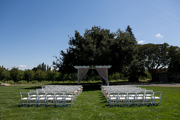 Wedding-059