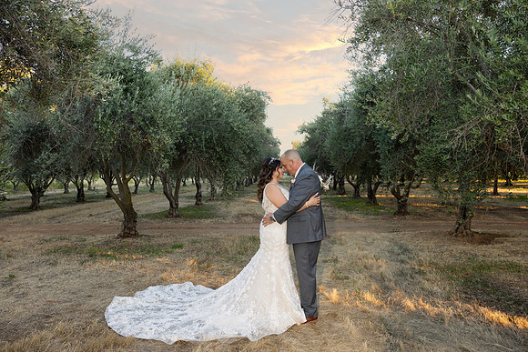 Wedding-697
