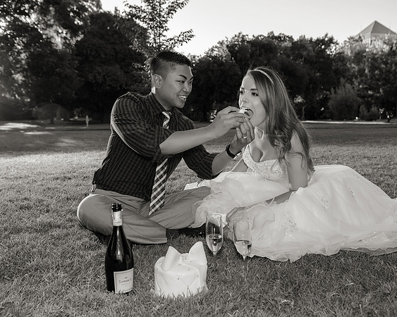 Sacramento Engagement Photography