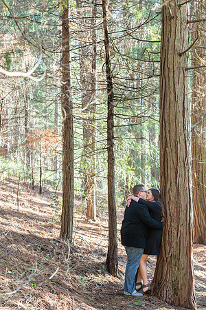 Engagement-37
