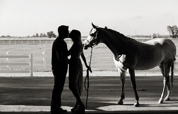Engagement-36-bw