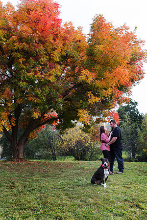 Apple Hill Engagement Photos