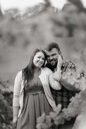 Apple Hill Engagement Photos