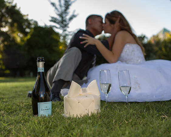 Sacramento Engagement Photography