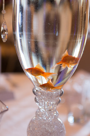 Wedding-091