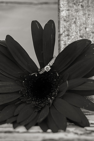 Country Themed Engagement Photos