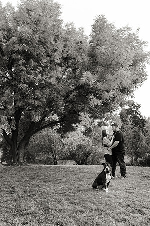 Apple Hill Engagement Photos