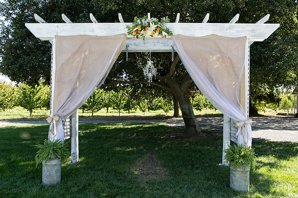 Wedding-062