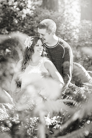 Engagement-053