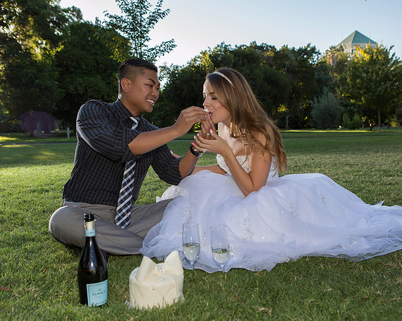 Sacramento Engagement Photography