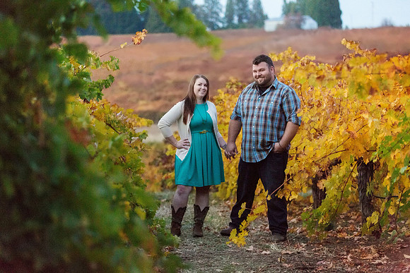 Apple Hill Engagement Photos