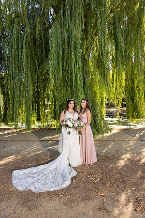 Wedding-392